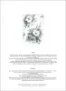 Product image 2 of the product “Fiori  ”