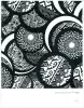 Product image 2 of the product “Ethno Pop Textures - Black Edition incl. DVD ”