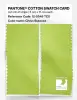 Artikelbild 2 des Artikels “PANTONE® COTTON SWATCH CARD 12-0549 TCX Citrus Essence “