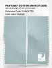 Product image 2 of the product “PANTONE® COTTON SWATCH CARD 12-4604 TCX Skylight ”