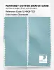 Product image 2 of the product “PANTONE® COTTON SWATCH CARD 12-4608 TCX Clearwater ”