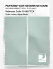 Artikelbild 2 des Artikels “PANTONE® COTTON SWATCH CARD 12-5407 TCX Aqua Glass “