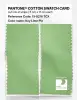 Artikelbild 2 des Artikels “PANTONE® COTTON SWATCH CARD 13-0216 TCX Key Lime Pie “