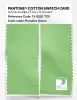 Product image 2 of the product “PANTONE® COTTON SWATCH CARD 13-0220 TCX Paradise Green ”