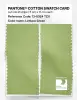 Product image 2 of the product “PANTONE® COTTON SWATCH CARD 13-0324 TCX Lettuce Green ”