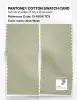 Artikelbild 2 des Artikels “PANTONE® COTTON SWATCH CARD 13-0608 TCX Aloe Wash “