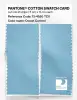 Product image 2 of the product “PANTONE® COTTON SWATCH CARD 13-4520 TCX Ocean Current ”
