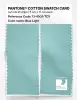 Artikelbild 2 des Artikels “PANTONE® COTTON SWATCH CARD 13-4909 TCX Blue Light “