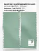 Product image 2 of the product “PANTONE® COTTON SWATCH CARD 13-5911 TCX Bird's Egg Green ”