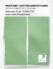 Product image 2 of the product “PANTONE® COTTON SWATCH CARD 13-6226 TCX Frosted Lime ”