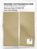 Product image 2 of the product “PANTONE® COTTON SWATCH CARD 14-0925 TCX Parsnip ”
