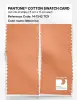 Product image 2 of the product “PANTONE® COTTON SWATCH CARD 14-1242 TCX Melon Ice ”