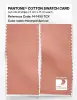 Artikelbild 2 des Artikels “PANTONE® COTTON SWATCH CARD 14-1430 TCX Honeyed Apricot “