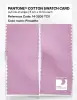 Product image 2 of the product “PANTONE® COTTON SWATCH CARD 14-3205 TCX Pirouette ”