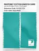 Product image 2 of the product “PANTONE® COTTON SWATCH CARD 14-5125 TCX Aqua Wash ”