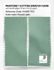 Product image 2 of the product “PANTONE® COTTON SWATCH CARD 14-6011 TCX Grayed Jade ”