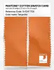 Artikelbild 2 des Artikels “PANTONE® COTTON SWATCH CARD 15-1247 TCX Tangerine “