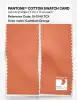 Product image 2 of the product “PANTONE® COTTON SWATCH CARD 15-1340 TCX Cadmium Orange ”