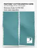 Artikelbild 2 des Artikels “PANTONE® COTTON SWATCH CARD 15-4715 TCX Aqua Sea “