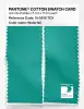 Product image 2 of the product “PANTONE® COTTON SWATCH CARD 15-5516 TCX Waterfall ”