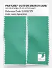 Product image 2 of the product “PANTONE® COTTON SWATCH CARD 15-5819 TCX Spearmint ”