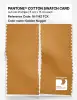 Artikelbild 2 des Artikels “PANTONE® COTTON SWATCH CARD 16-1142 TCX Golden Nugget “