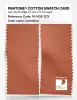 Artikelbild 2 des Artikels “PANTONE® COTTON SWATCH CARD 16-1435 TCX Carnelian “