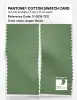 Artikelbild 2 des Artikels “PANTONE® COTTON SWATCH CARD 17-0215 TCX Aspen Green “