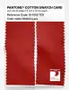 Artikelbild 2 des Artikels “PANTONE® COTTON SWATCH CARD 18-1555 TCX Molten Lava “