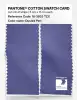 Artikelbild 2 des Artikels “PANTONE® COTTON SWATCH CARD 18-3833 TCX Dusted Peri “