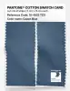 Artikelbild 2 des Artikels “PANTONE® COTTON SWATCH CARD 18-4025 TCX Copen Blue “