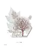 Artikelbild 3 des Artikels “Natural Pop Graphics Vol. 1 incl. DVD “