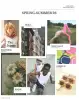 Product image 3 of the product “Minicool Kids & Youth S/S 2026 ”