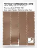Product image 3 of the product “PANTONE® COTTON SWATCH CARD 17-1328 TCX Tanzine ”