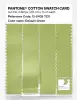 Artikelbild 3 des Artikels “PANTONE® COTTON SWATCH CARD 12-0435 TCX Daiquiri Green “