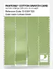Product image 3 of the product “PANTONE® COTTON SWATCH CARD 13-0324 TCX Lettuce Green ”