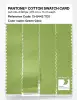 Artikelbild 3 des Artikels “PANTONE® COTTON SWATCH CARD 13-0442 TCX Green Glow “