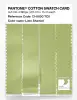 Product image 3 of the product “PANTONE® COTTON SWATCH CARD 13-0530 TCX Lime Sherbet ”