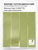 Product image 3 of the product “PANTONE® COTTON SWATCH CARD 13-0532 TCX Celery Green ”