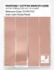 Product image 3 of the product “PANTONE® COTTON SWATCH CARD 13-1418 TCX Dusky Peach ”