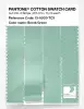 Product image 3 of the product “PANTONE® COTTON SWATCH CARD 13-6009 TCX Brook Green ”