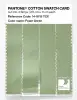 Product image 3 of the product “PANTONE® COTTON SWATCH CARD 14-0115 TCX Foam Green ”