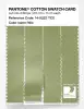 Product image 3 of the product “PANTONE® COTTON SWATCH CARD 14-0223 TCX Nile ”