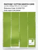 Product image 3 of the product “PANTONE® COTTON SWATCH CARD 14-0452 TCX Lime Green ”