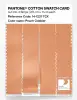 Artikelbild 3 des Artikels “PANTONE® COTTON SWATCH CARD 14-1231 TCX Peach Cobbler “