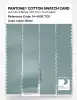 Product image 3 of the product “PANTONE® COTTON SWATCH CARD 14-4506 TCX Ether ”