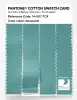 Product image 3 of the product “PANTONE® COTTON SWATCH CARD 14-5117 TCX Aquacade ”