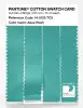 Product image 3 of the product “PANTONE® COTTON SWATCH CARD 14-5125 TCX Aqua Wash ”