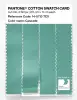 Product image 3 of the product “PANTONE® COTTON SWATCH CARD 14-5713 TCX Cascade ”