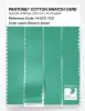 Product image 3 of the product “PANTONE® COTTON SWATCH CARD 14-5721 TCX Electric Green ”